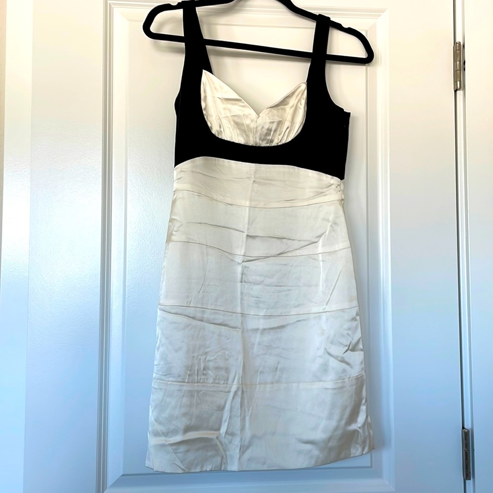 BCBG Maxazria Dress (size 4)
